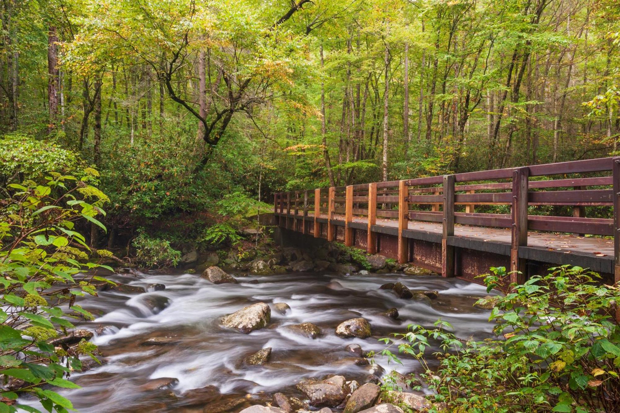 The Nut House, Hot Tub, Game Room, Wifi, 1089 Free Tickets Each Paid Day, Dollywood And More! Pigeon Forge Dış mekan fotoğraf